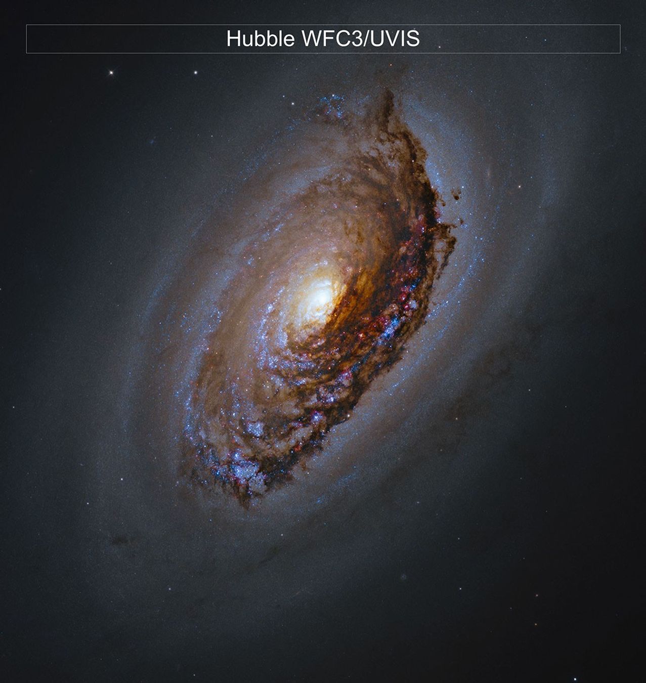 Hubbles bild av M64: ett mörkt stoftband framför galaxens ljusa kärna.